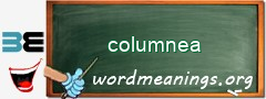 WordMeaning blackboard for columnea